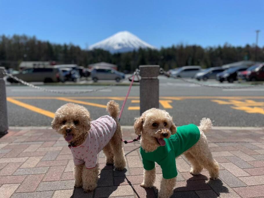 Mt. Fuji Kokoワンちゃんokの新築貸別荘 Фудзі-Каваґутіко Екстер'єр фото